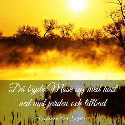Picture 03 - 2 Mosebok 34:8 SV1917 - Då böjde Mose sig med hast ned mot jorden och - Bible Verse Picture