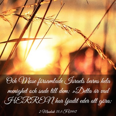 Picture 03 - 2 Mosebok 35:1 SV1917 - Och Mose församlade Israels barns hela menighet - Bible Verse Picture