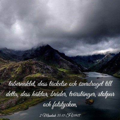 Picture 03 - 2 Mosebok 35:11 SV1917 - tabernaklet, dess täckelse och överdraget till - Bible Verse Picture