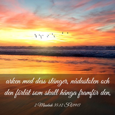 Picture 03 - 2 Mosebok 35:12 SV1917 - arken med dess stänger, nådastolen och den - Bible Verse Picture