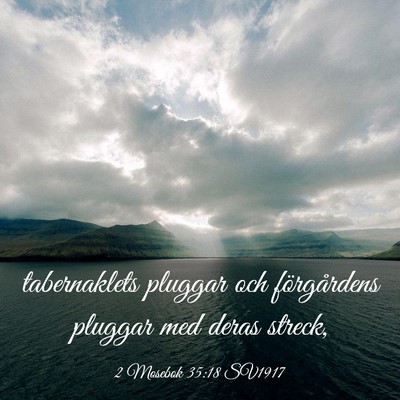 Picture 03 - 2 Mosebok 35:18 SV1917 - tabernaklets pluggar och förgårdens pluggar med - Bible Verse Picture