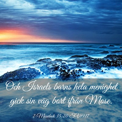 Picture 03 - 2 Mosebok 35:20 SV1917 - Och Israels barns hela menighet gick sin väg - Bible Verse Picture