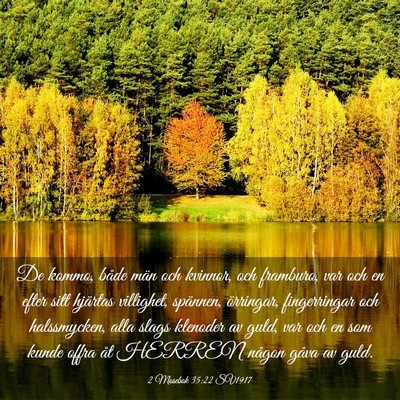 Picture 03 - 2 Mosebok 35:22 SV1917 - De kommo, både män och kvinnor, och framburo, - Bible Verse Picture