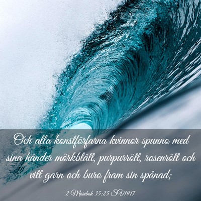 Picture 03 - 2 Mosebok 35:25 SV1917 - Och alla konstförfarna kvinnor spunno med sina - Bible Verse Picture