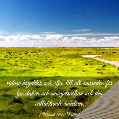 Picture 03 - 2 Mosebok 35:28 SV1917 - vidare kryddor och olja, till att användas för - Bible Verse Picture