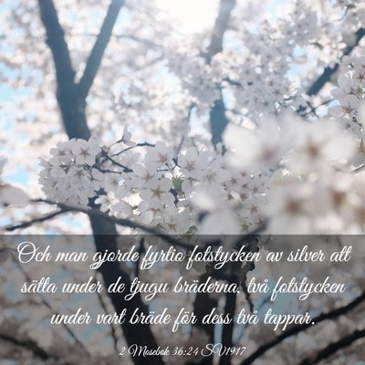Picture 03 - 2 Mosebok 36:24 SV1917 - Och man gjorde fyrtio fotstycken av silver att - Bible Verse Picture