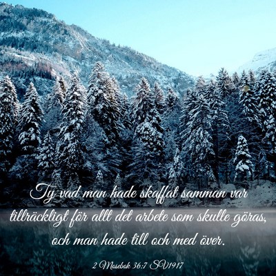 Picture 03 - 2 Mosebok 36:7 SV1917 - Ty vad man hade skaffat samman var tillräckligt - Bible Verse Picture