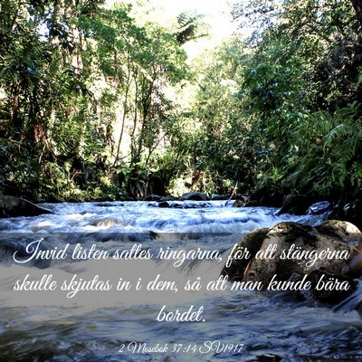 Picture 03 - 2 Mosebok 37:14 SV1917 - Invid listen sattes ringarna, för att stängerna - Bible Verse Picture
