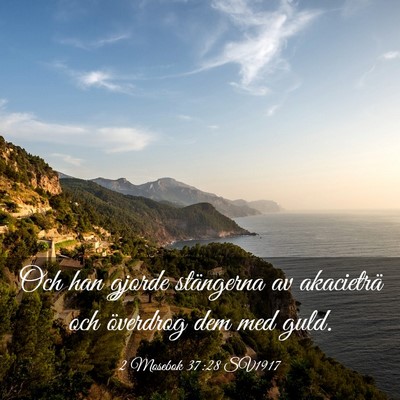Picture 03 - 2 Mosebok 37:28 SV1917 - Och han gjorde stängerna av akacieträ och - Bible Verse Picture