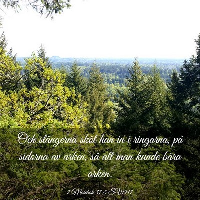 Picture 03 - 2 Mosebok 37:5 SV1917 - Och stängerna sköt han in i ringarna, på - Bible Verse Picture
