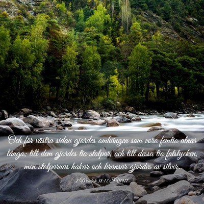Picture 03 - 2 Mosebok 38:12 SV1917 - Och för västra sidan gjordes omhängen som voro - Bible Verse Picture