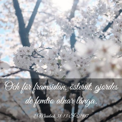 Picture 03 - 2 Mosebok 38:13 SV1917 - Och för framsidan, österut, gjordes de femtio - Bible Verse Picture