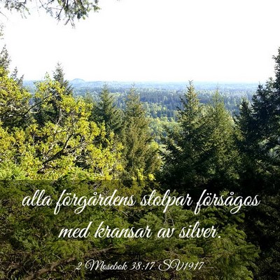 Picture 03 - 2 Mosebok 38:17 SV1917 - alla förgårdens stolpar försågos med kransar - Bible Verse Picture