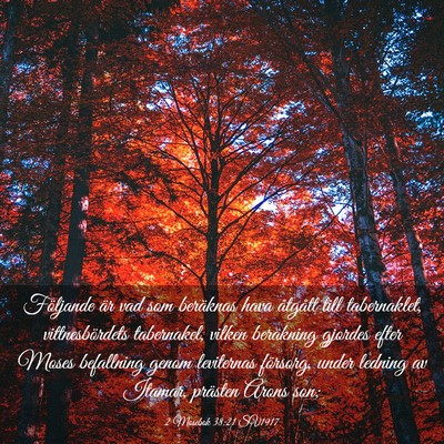 Picture 03 - 2 Mosebok 38:21 SV1917 - Följande är vad som beräknas hava åtgått - Bible Verse Picture