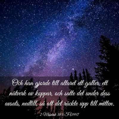 Picture 03 - 2 Mosebok 38:4 SV1917 - Och han gjorde till altaret ett galler, ett - Bible Verse Picture