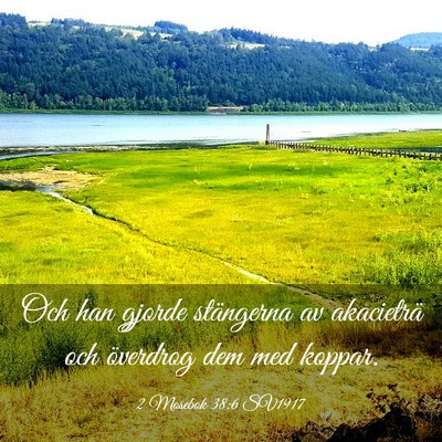 Picture 03 - 2 Mosebok 38:6 SV1917 - Och han gjorde stängerna av akacieträ och - Bible Verse Picture