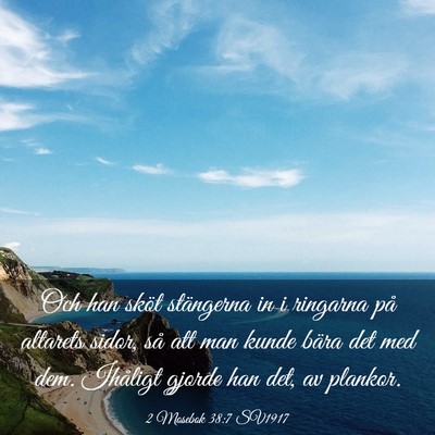 Picture 03 - 2 Mosebok 38:7 SV1917 - Och han sköt stängerna in i ringarna på - Bible Verse Picture