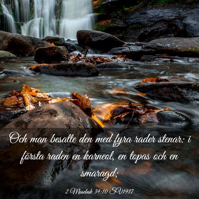 Picture 03 - 2 Mosebok 39:10 SV1917 - Och man besatte den med fyra rader stenar: i - Bible Verse Picture