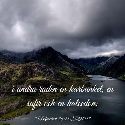 Picture 03 - 2 Mosebok 39:11 SV1917 - i andra raden en karbunkel, en safir och en - Bible Verse Picture