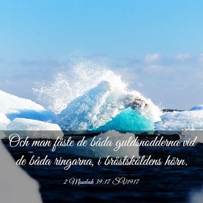 Picture 03 - 2 Mosebok 39:17 SV1917 - Och man fäste de båda guldsnodderna vid de - Bible Verse Picture