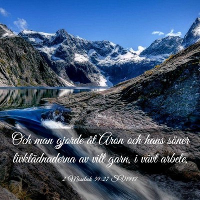 Picture 03 - 2 Mosebok 39:27 SV1917 - Och man gjorde åt Aron och hans söner - Bible Verse Picture
