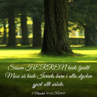 Picture 03 - 2 Mosebok 39:42 SV1917 - Såsom HERREN hade bjudit Mose så hade Israels - Bible Verse Picture