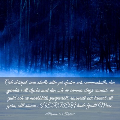 Picture 03 - 2 Mosebok 39:5 SV1917 - Och skärpet, som skulle sitta på efoden och - Bible Verse Picture