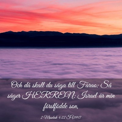 Picture 03 - 2 Mosebok 4:22 SV1917 - Och då skall du säga till Farao: Så säger - Bible Verse Picture
