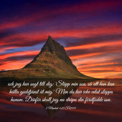Picture 03 - 2 Mosebok 4:23 SV1917 - och jag har sagt till dig: 'Släpp min son, så - Bible Verse Picture