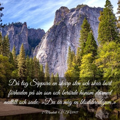 Picture 03 - 2 Mosebok 4:25 SV1917 - Då tog Sippora en skarp sten och skar bort - Bible Verse Picture