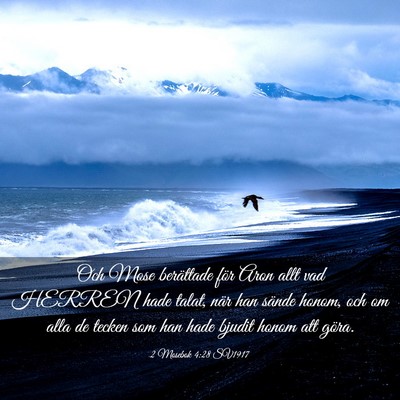 Picture 03 - 2 Mosebok 4:28 SV1917 - Och Mose berättade för Aron allt vad HERREN - Bible Verse Picture