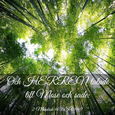Picture 03 - 2 Mosebok 40:1 SV1917 - Och HERREN talade till Mose och - Bible Verse Picture