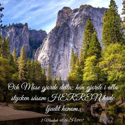 Picture 03 - 2 Mosebok 40:16 SV1917 - Och Mose gjorde detta; han gjorde i alla stycken - Bible Verse Picture