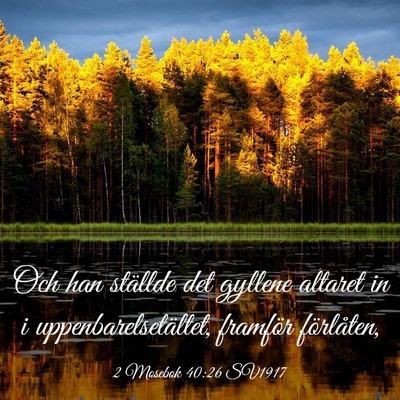 Picture 03 - 2 Mosebok 40:26 SV1917 - Och han ställde det gyllene altaret in i - Bible Verse Picture