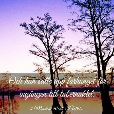 Picture 03 - 2 Mosebok 40:28 SV1917 - Och han satte upp förhänget för ingången till - Bible Verse Picture