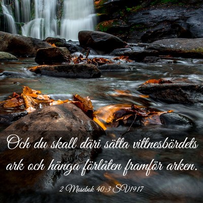 Picture 03 - 2 Mosebok 40:3 SV1917 - Och du skall däri sätta vittnesbördets ark och - Bible Verse Picture