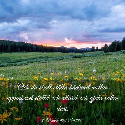 Picture 03 - 2 Mosebok 40:7 SV1917 - Och du skall ställa bäckenet mellan - Bible Verse Picture