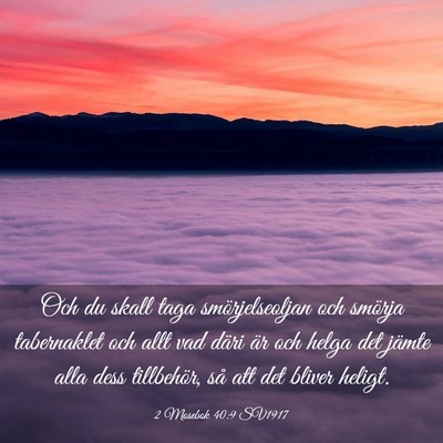 Picture 03 - 2 Mosebok 40:9 SV1917 - Och du skall taga smörjelseoljan och smörja - Bible Verse Picture