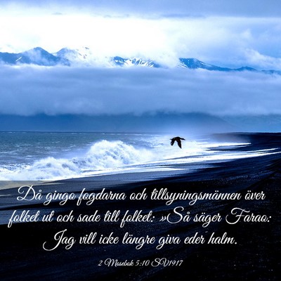 Picture 03 - 2 Mosebok 5:10 SV1917 - Då gingo fogdarna och tillsyningsmännen över - Bible Verse Picture