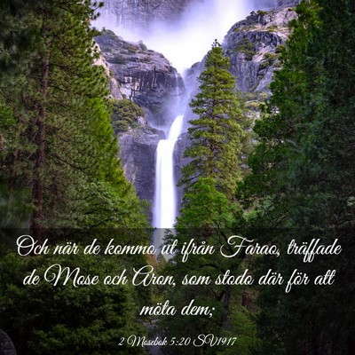 Picture 03 - 2 Mosebok 5:20 SV1917 - Och när de kommo ut ifrån Farao, träffade de - Bible Verse Picture