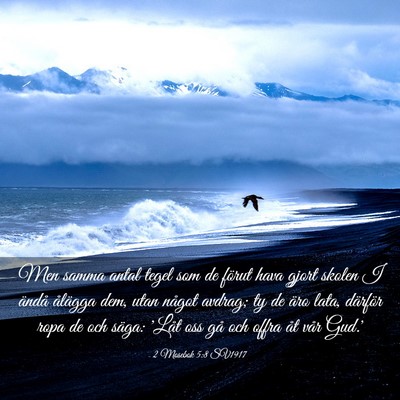 Picture 03 - 2 Mosebok 5:8 SV1917 - Men samma antal tegel som de förut hava gjort - Bible Verse Picture