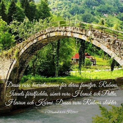 Picture 03 - 2 Mosebok 6:14 SV1917 - Dessa voro huvudmännen för deras familjer. - Bible Verse Picture