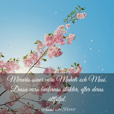 Picture 03 - 2 Mosebok 6:19 SV1917 - Meraris söner voro Maheli och Musi. Dessa voro - Bible Verse Picture