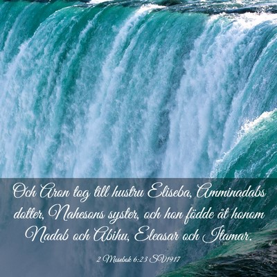 Picture 03 - 2 Mosebok 6:23 SV1917 - Och Aron tog till hustru Eliseba, Amminadabs - Bible Verse Picture