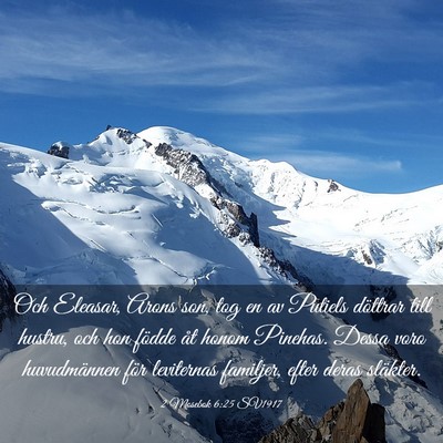 Picture 03 - 2 Mosebok 6:25 SV1917 - Och Eleasar, Arons son, tog en av Putiels - Bible Verse Picture