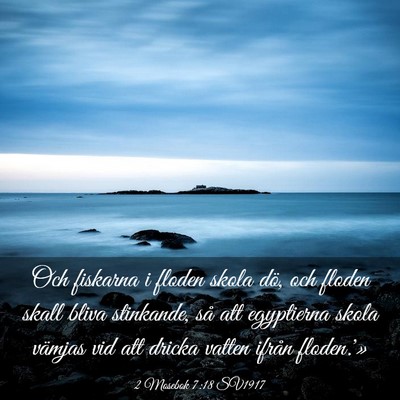 Picture 03 - 2 Mosebok 7:18 SV1917 - Och fiskarna i floden skola dö, och floden skall - Bible Verse Picture