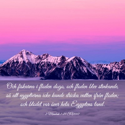 Picture 03 - 2 Mosebok 7:21 SV1917 - Och fiskarna i floden dogo, och floden blev - Bible Verse Picture