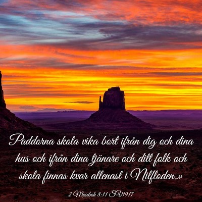 Picture 03 - 2 Mosebok 8:11 SV1917 - Paddorna skola vika bort ifrån dig och dina hus - Bible Verse Picture