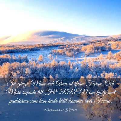 Picture 03 - 2 Mosebok 8:12 SV1917 - Så gingo Mose och Aron ut ifrån Farao. Och Mose - Bible Verse Picture