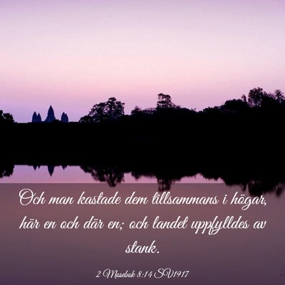 Picture 03 - 2 Mosebok 8:14 SV1917 - Och man kastade dem tillsammans i högar, här en - Bible Verse Picture